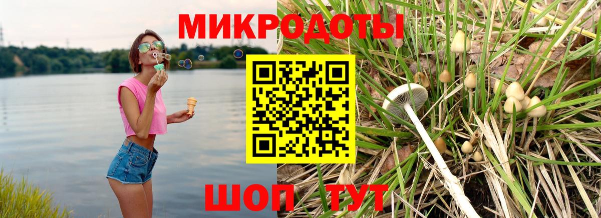 Галлюциногенные грибы Cubensis  Вход с VPN  Ачинск 
